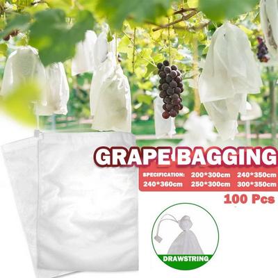 Grapes Net Bags Vegetable Grapes Fruit Protection Grow Bag Fruit Mesh Bag Against Insect Pest Control Bird Home Garden