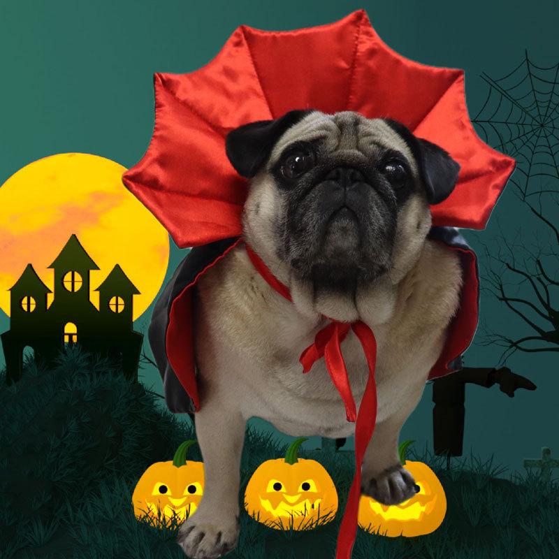 Cross-border Halloween Pet Costume: Witch Cape for Cats & Dogs