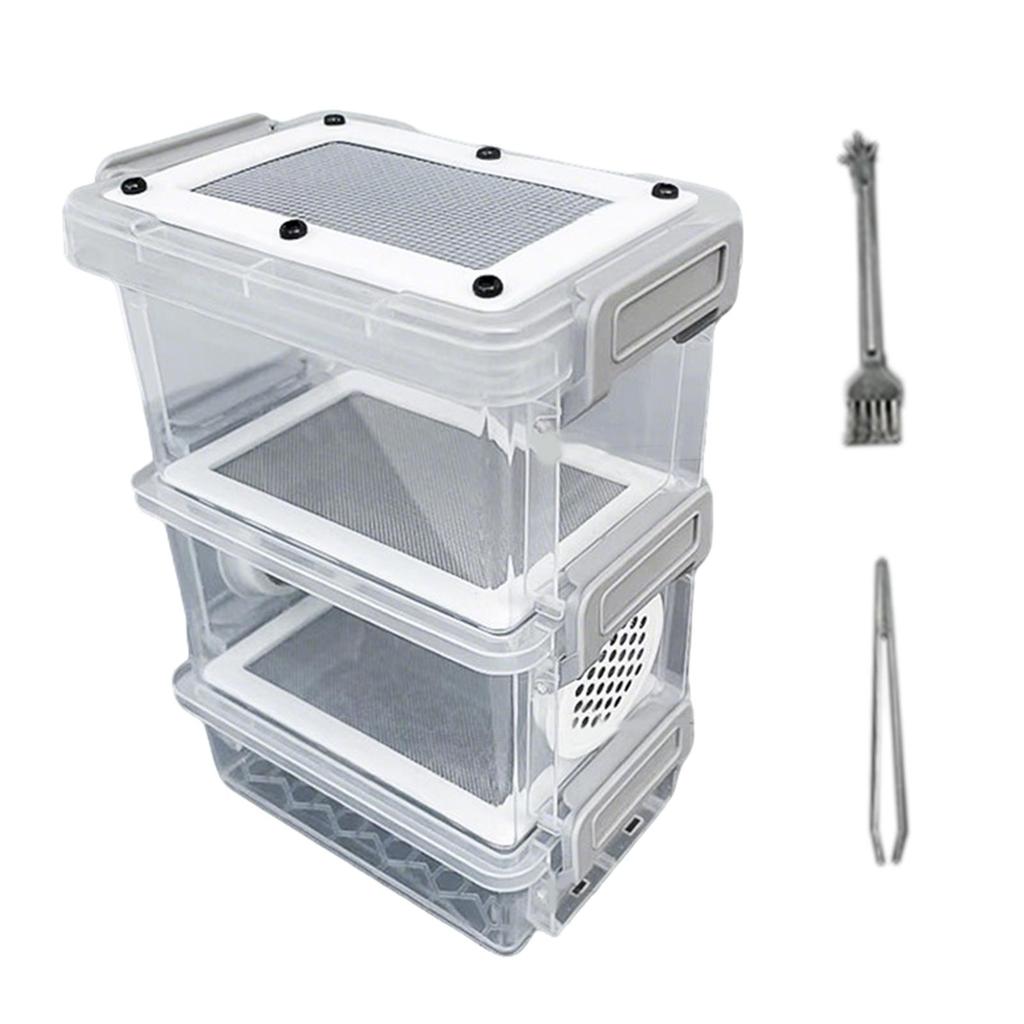 Scatola per Cibo Mini Grilli Plastica Acciaio Inossidabile Cassa di Allevamento Habitat Animale per Larve della Farina Scarafaggi e
