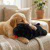 Sleep Aid Dog Anxiety Relief Pillow Soft Plush Dog Soothing Toys  Pet Companion