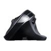 SANWA Ergonomic Vertical Wireless Mouse