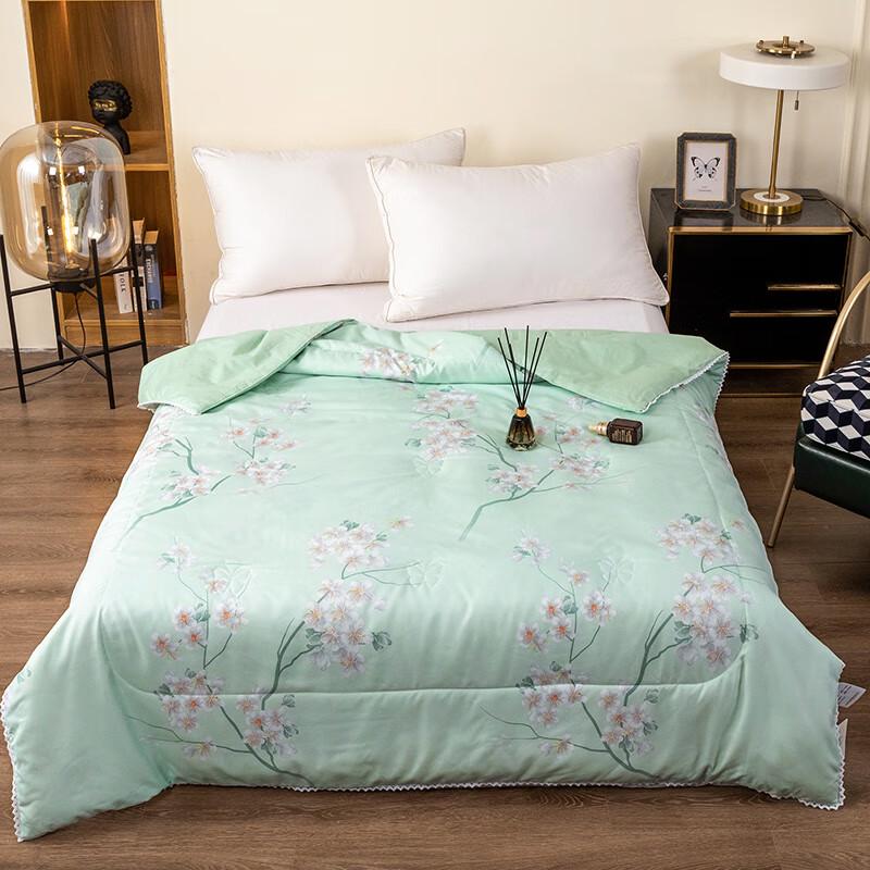 

Jode Elegant Mulberry Silk Summer Quilt