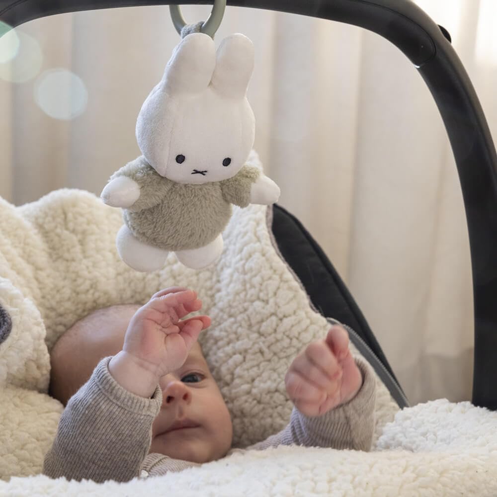 DADWAY Miffy Vibrating Toy FluffyGreen TYMIFNIJN910