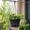 Pot de planteur suspendu en plastique avec crochet pour balcon et jardinage à la maison Pot à fleurs durable et léger adapté à une utilisation intérieure et extérieure