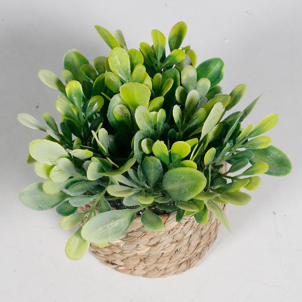 1 Popular Potted Plant Simulation Eucalyptus Green Plant Decoration for Home Plants, Perfect for Desk and Home Decoration