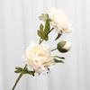 3 First Autumn Peach Peony Simulation Flower Wedding Home Living Room Decoration Fake Flower Simulation Plant Wall Flower Wall