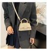 2024 Women's High-End Mini Shoulder Crossbody Handbag