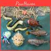 Marine Life Pvc Model Collection With Detailed Finish For Aquarium Enthusiasts And Collectors