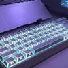 Zhe Ying 3.0 Angled Translucent PBT Keycaps with Custom Magnetic Switches