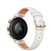 Huawei Watch GT 5 (CN version)