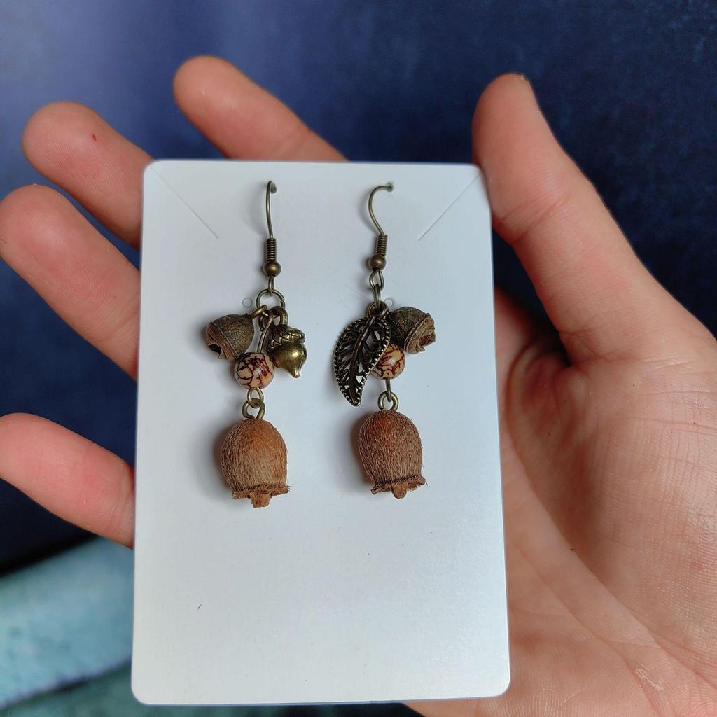 Fruit Earrings - Handmade Natural Dried Fruit Earrings, Retro Chinese Medicine Ethnic Style, for Women.