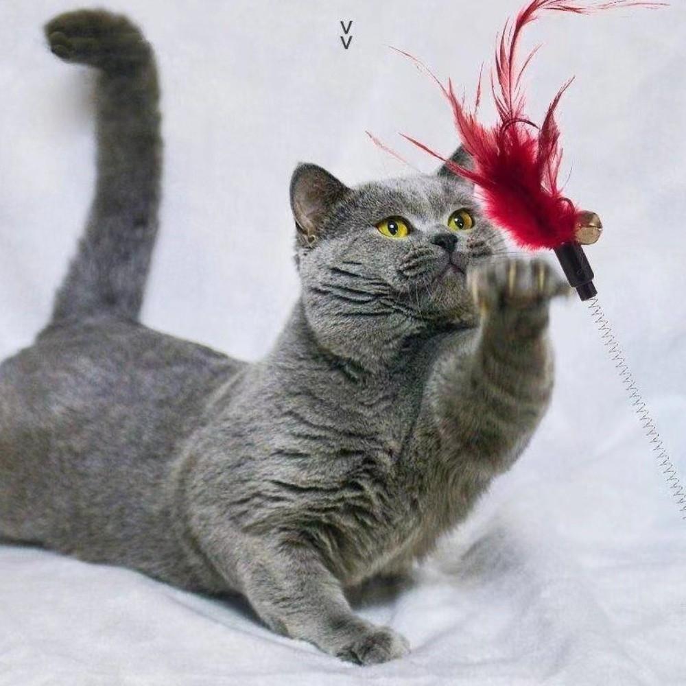 Bell Ball Interactive Cat Toys Mouse Shape Balls Cat Tunnel Toys Pet Cat Toys Set  Cat Exercise