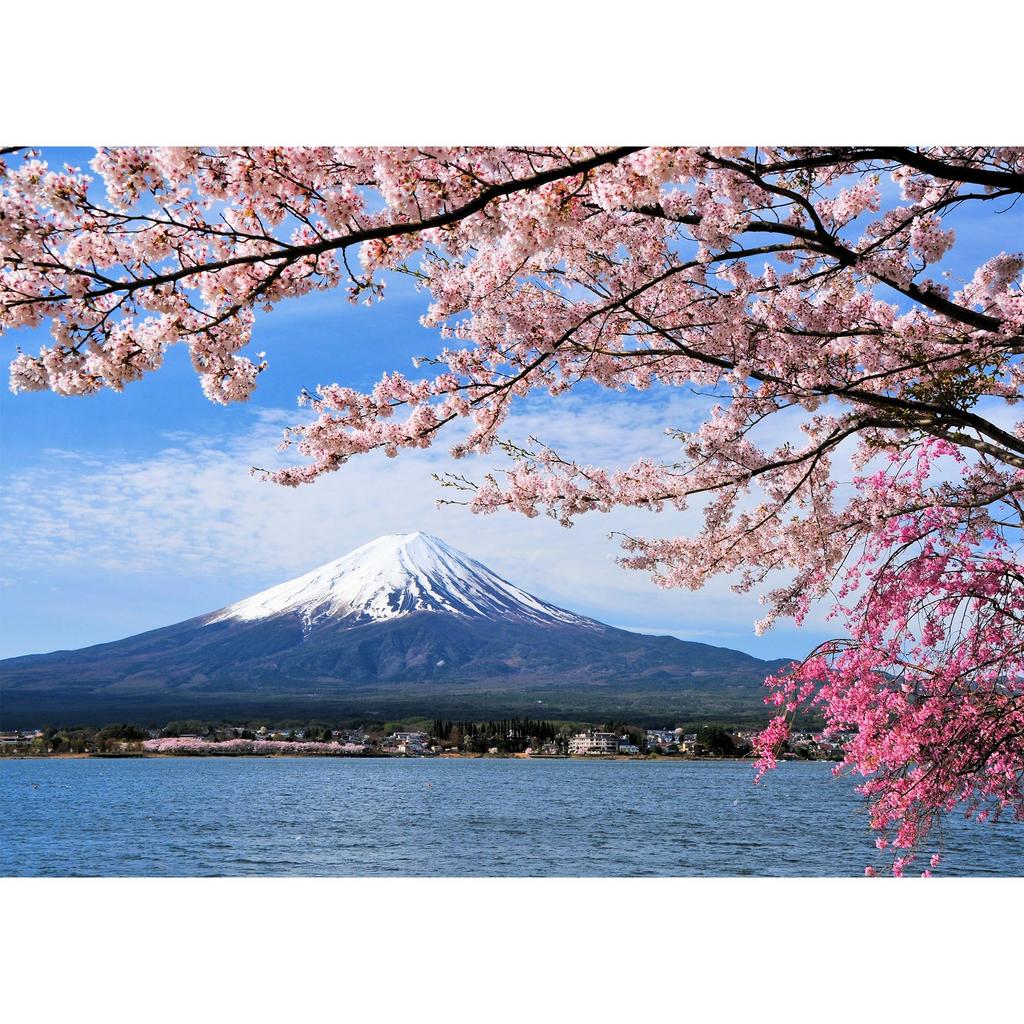 MISITU Jigsaw Cherry Stylish Cherry Blossoms and Fuji x 70 1000-Piece Puzzle, Landscape, Blossoms, Mt. Fuji, Mountains, Flowers, Nature, Gift,