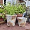 Youmei Retro Runder Zement-Blumentopf für Haus- und Gartendekoration