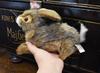 BH6284 HANSA Black-tailed Rabbit 25