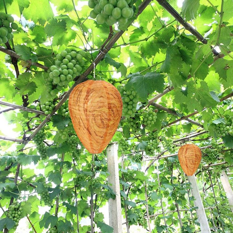 Waterproof Hornet Fly Catcher Insect Trap Hanging Wasp Nest Hornets Lantern Folding Bee Repellent Traps for Outdoor Patio Garden