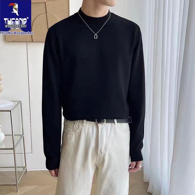 Specht 2025 Herren Rollkragenpullover – Unifarben gestrickt, Langarm, Herbst/Winter-Wärme, Hongkong-Stil