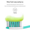 Leng Suan Ling Ice Lemon & Crystal Salt Toothpaste Set