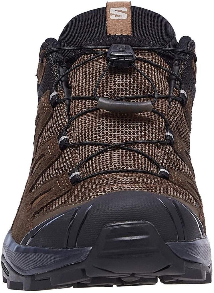 Обувь для треккинга Salomon X Ultra 360 Leather GTX dark earth/delicioso sharkskin