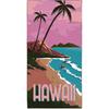 Hawaii Beach Towel Oversized 36"x72" Quick Dry Sand Free Coconut Palm Tree Beach Towels Soft Lightweight Microfiber Towels for Swim Pool Camping