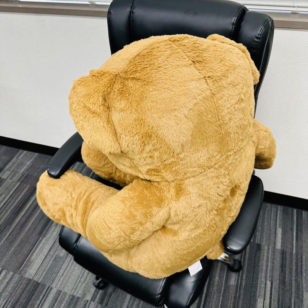 [USED] Teddy Bear Plush Toy Fluffy Bear Women's Kids Gift