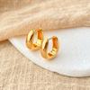 Chic Business Oval Brass Plated 18k Gold Earrings For Women
