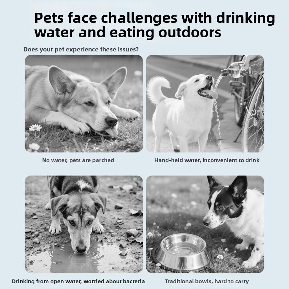 Double Bowl Collapsible Dog Dish Portable Puppy Food Container Practical Pet Travel Feeder  Outdoor