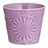 Hasami Ware Mug Cup Approx. 210ml Marigold Purple Made In Japan 323090232