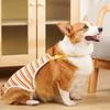 Adjustable Straps Female Dog Underwear Stripe Pet Safety Trousers Dog Underwear  Pet Heat Cycle
