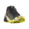 SALOMON Speedcross 6 Gore Tex Sneakers Sneakers 474654