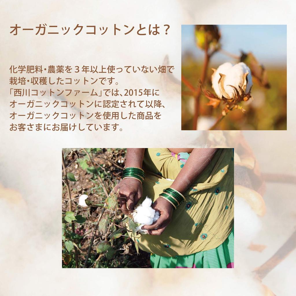 Nishikawa Pile Organic Made in Nishikawa Cotton Solid 204203913 Blanket, Single, Cotton, Japan, Pesticide-Free, Soft, Farm, Color, NC44, Blue,