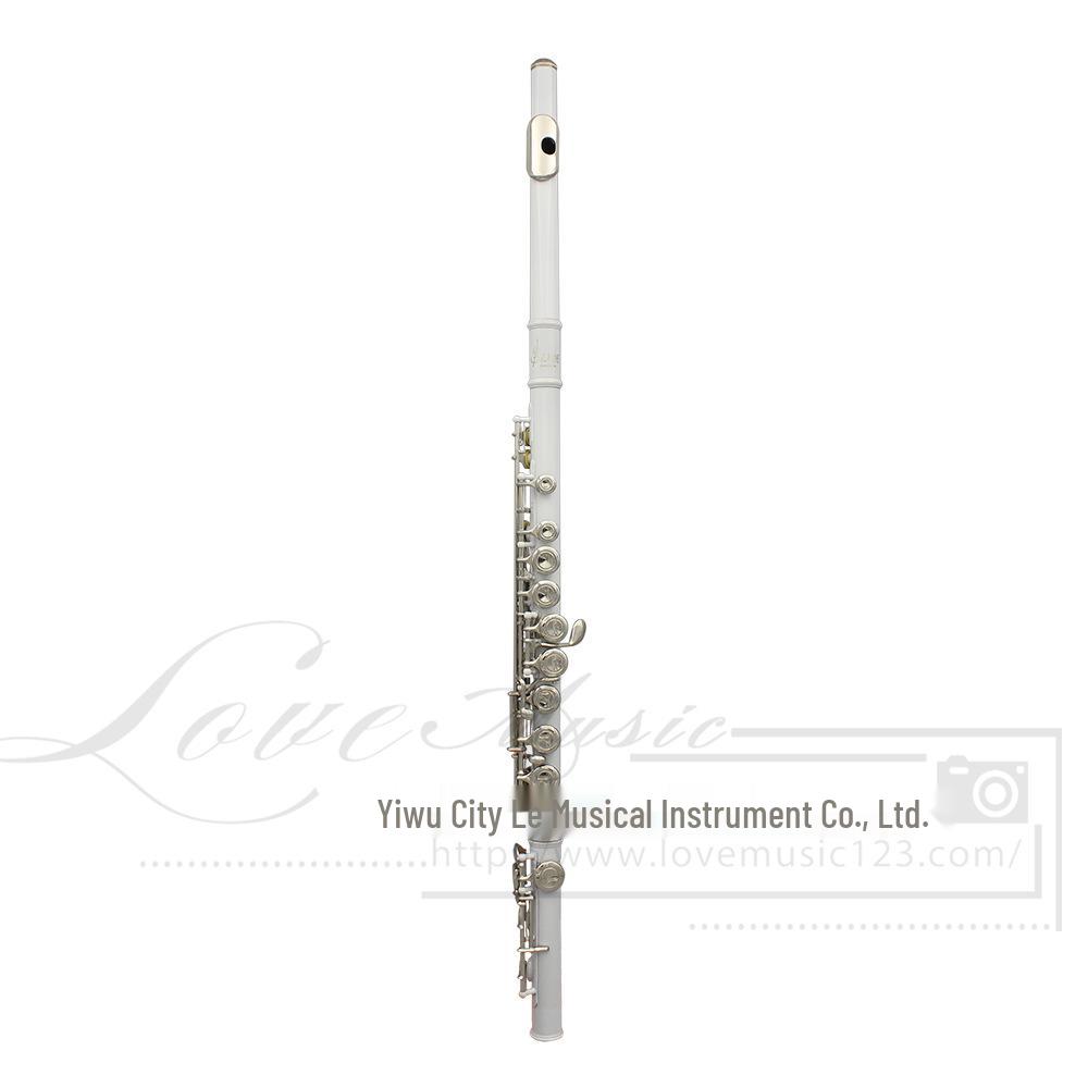 LADE 16-Hole C Key Colored Flute for Children, Students, & Adults - Professional Western Musical Instrument.
