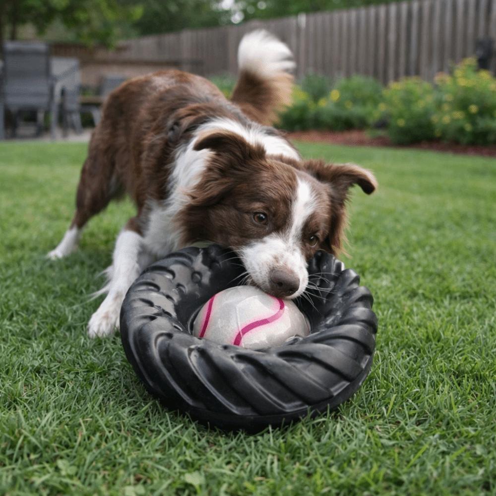 Chew-Resistant Tire-Shaped Dog Toy Elasticity Dog Chew Wheel Toy Molar Toys Indoor Play
