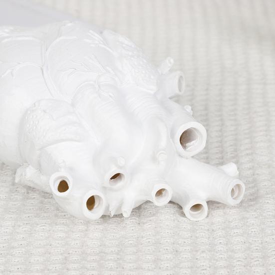 Hjerte Blomstervase Menneskelig Hjerte Organ Form Harpiks Vase Borddekor Blomsterholder for Hjemmekontor Skrivebord Stue