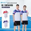 Quick-Dry Polo Shirt Badminton Tennis Running Coaching Team Sports Unisex Short Sleeve Athletic Top