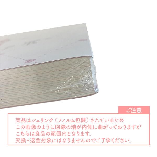 All PreCure Exhibition Catalog 20th Anniversary Memories PreCure Exhibition Pamphlet Catalog Pamphlet