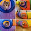 Foldable Cat Pet Indoor Pet Exercise Toy for and Chew Prevents Lack of Relieves Easy To with Holes and Made of Rainbow Compact Tunnel, Supplies,