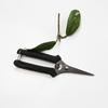 Stainless Steel Fruit Picking Shears With Sharp Blades Non Slip Handles For Gardening Harvesting Fruits Vegetables Flowers