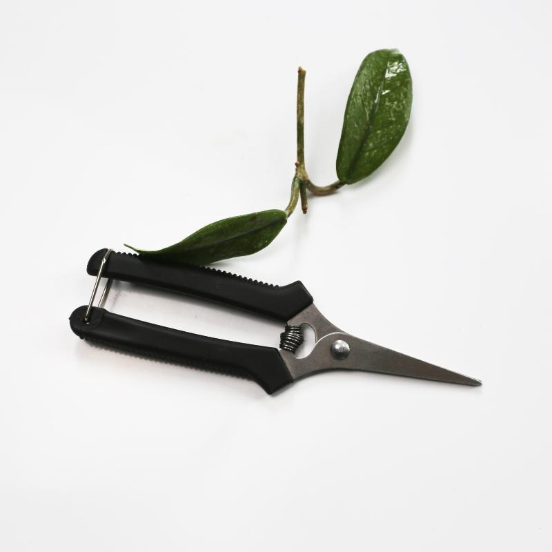 Stainless Steel Fruit Picking Shears With Sharp Blades Non Slip Handles For Gardening Harvesting Fruits Vegetables Flowers