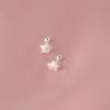 Elegant Frosted Star Screw Stud Earrings for Women - Sweet, Fashionable, Versatile, High-End Design