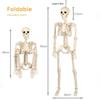 Halloween 60cm Human Skeleton Decoration for Haunted House Festival Props