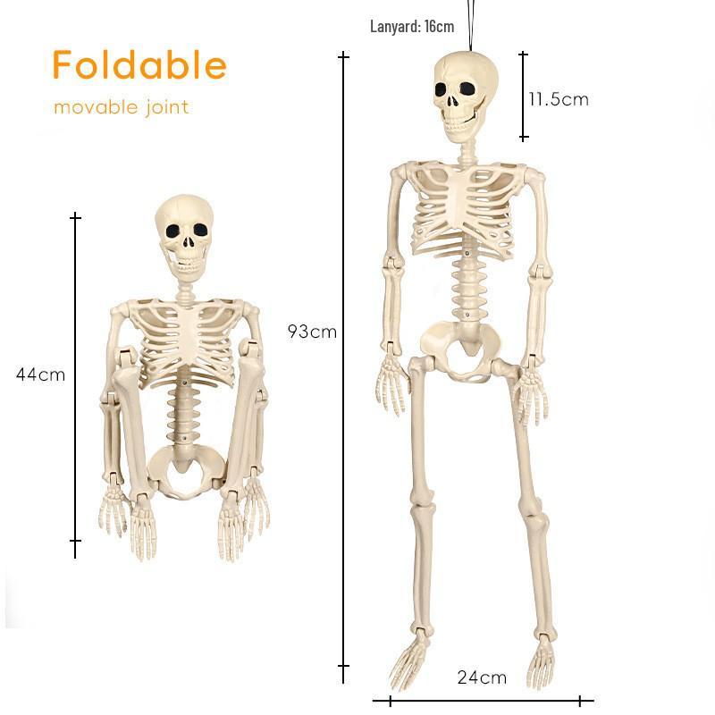 Halloween 60cm Human Skeleton Decoration for Haunted House Festival Props