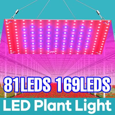 220V LED Bitki Büyüme Işığı Tam Spektrum 40W Quantum Board Dolum Lambası Hidroponik Fide Yetiştirme Lambaları Çiçek Büyüme Aydınlatması