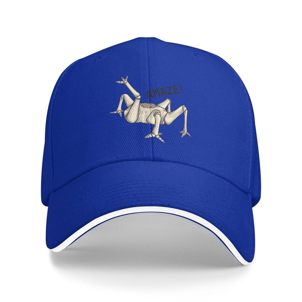Kšiltovky Projekt Hail Mary - Úžasné! Vtipné Grafické Unisex Jarní Sportovní Klobouky