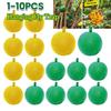 10PCS Fly Ball Traps 8cm Insects Fly Swatter Fruit Flies Trap Reusable Hanging Trap Ball Pest Repeller Killer Garden Supplies