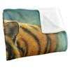 JQ Licensing Silky Tiger & Cubs Supersoft Blanket