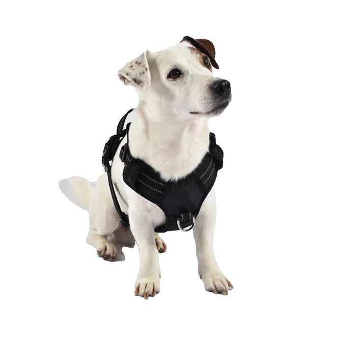 Harnais pour chien - BOBBY - Rando Walk - Noir - Taille L - 2 points d'attache