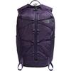 Borealis 16L Backpack With Padded Ventilated Shoulder Straps And Adjustable Waist Belt Unisex Backpacks Purple NF0A8HRZ-G5O