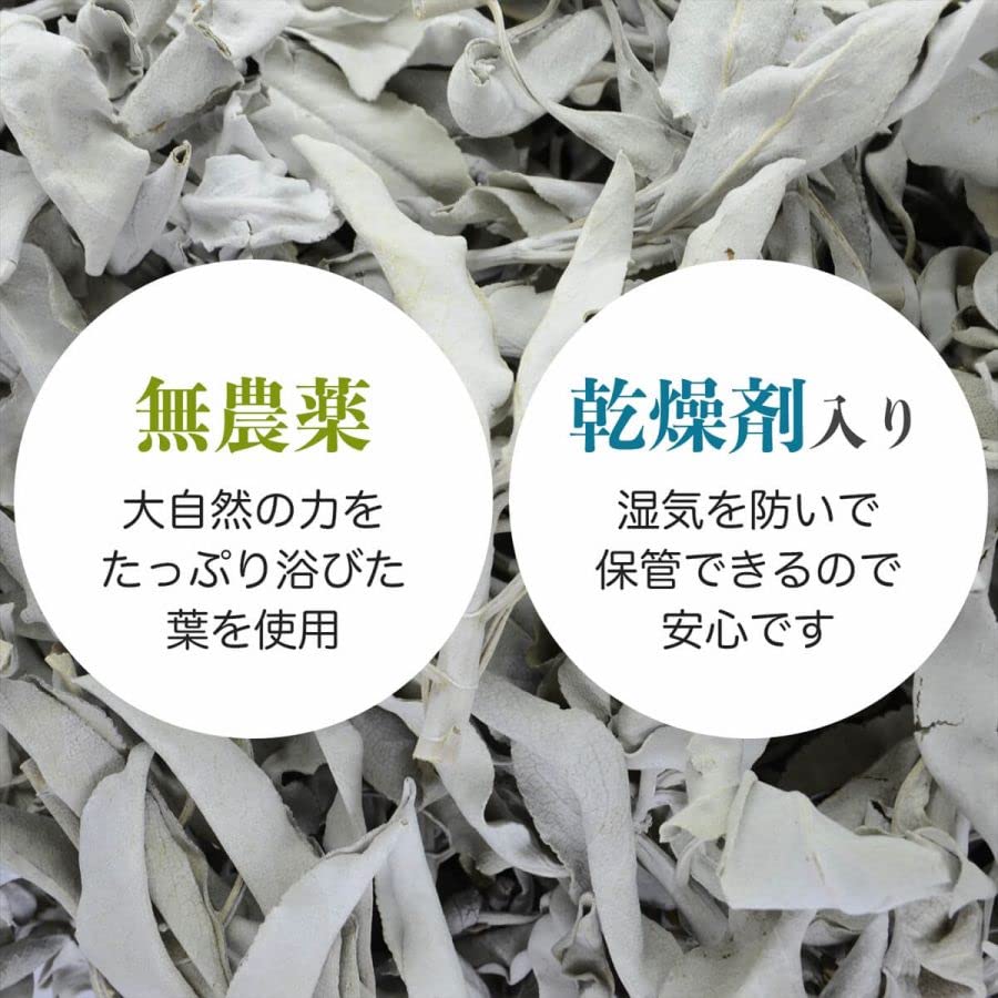 THE EARTH GRACE White Sage Leaf (Leaves) 100g (50g X 2) Purifying Incense Smudging