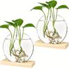 Wooden Stand Round Glass Planters Transparent Glass Plants Glass Vase  Home Decor